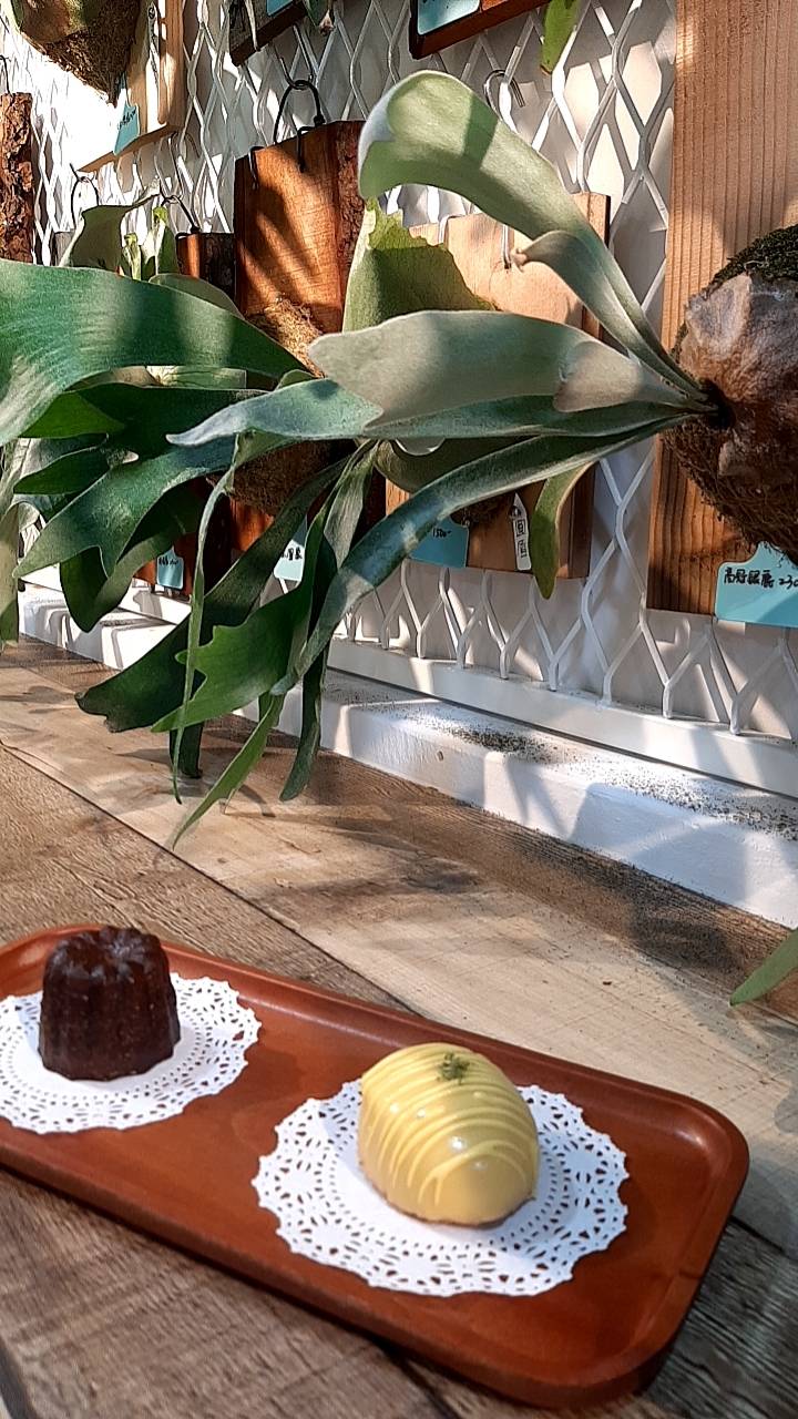 被工程業耽誤的甜點師 被工程業耽誤的甜點師