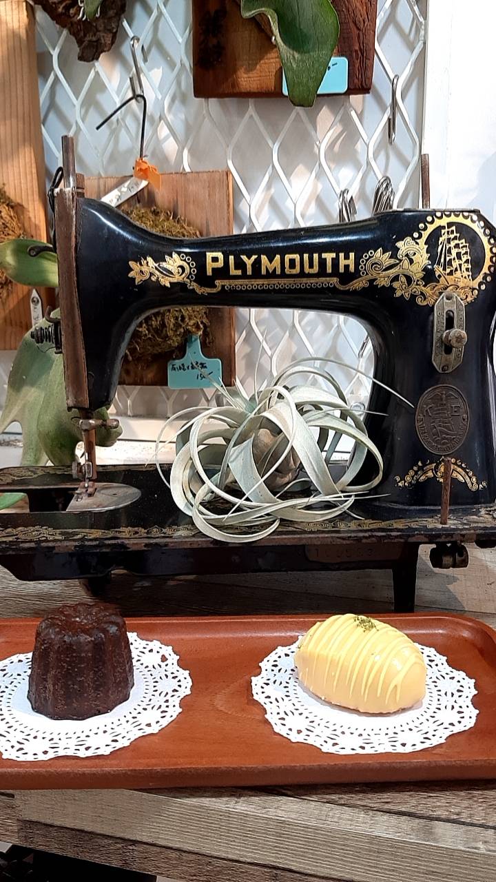 被工程業耽誤的甜點師 被工程業耽誤的甜點師