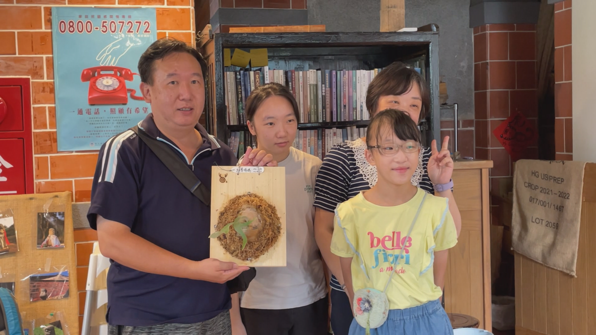 鹿角蕨上板樂趣 鹿角蕨上板樂趣