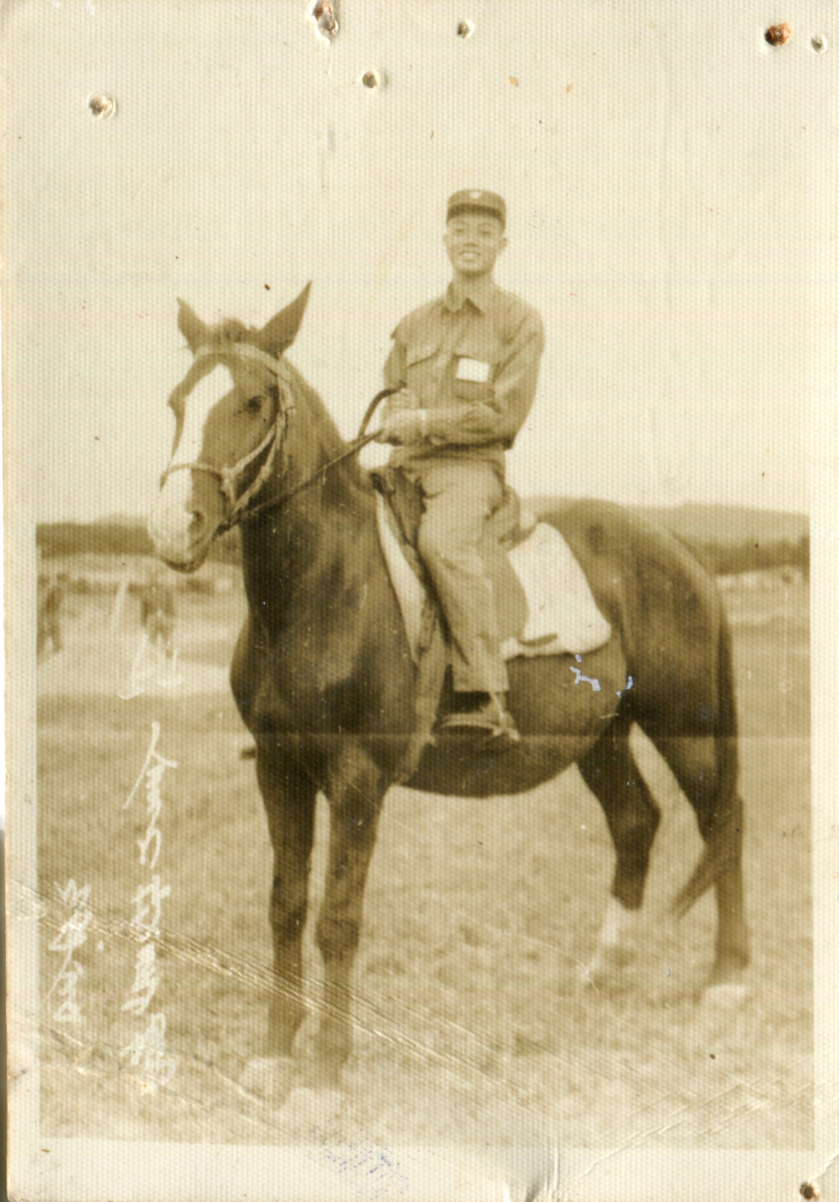 一起找尋畜試所老照片騎馬雄姿 一起找尋畜試所老照片騎馬雄姿