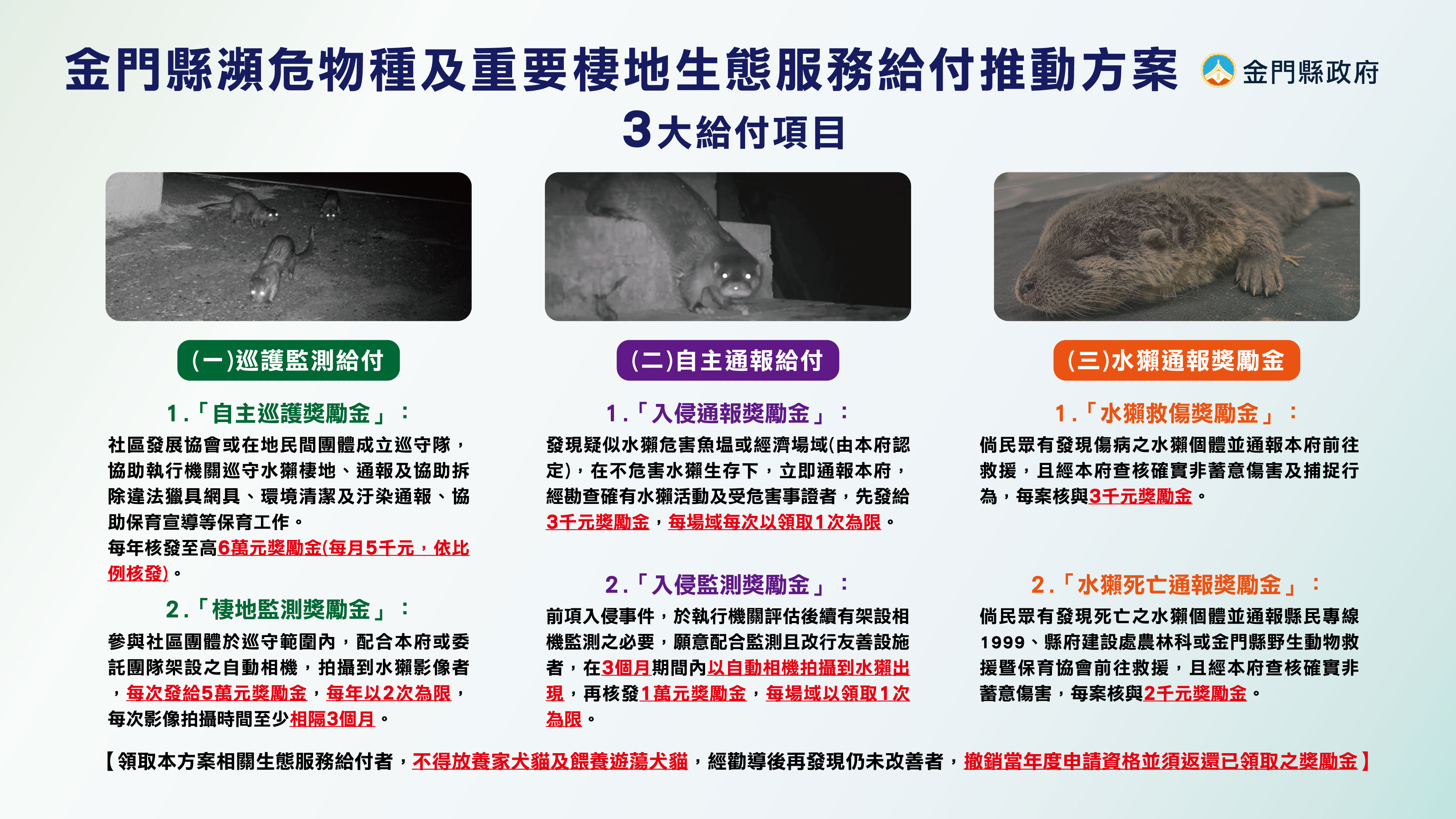 金門拍攝到水獺影像就給5萬元獎勵金 即日起受理申請