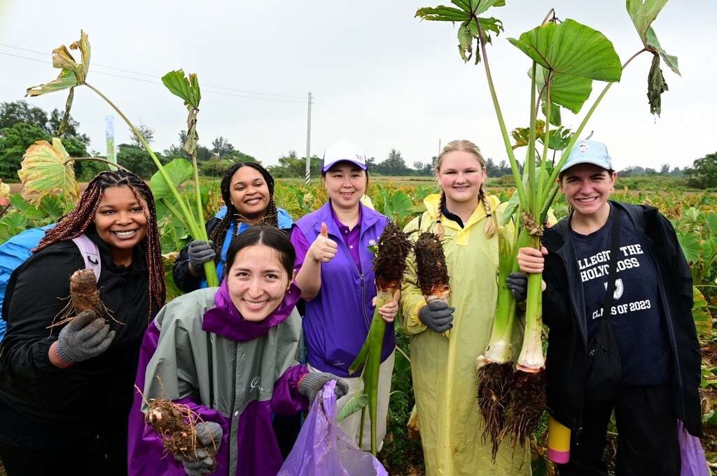 113年烈嶼鄉芋頭季系列活動開跑!快揪親朋好友一起來金門吃芋頭! 113年烈嶼鄉芋頭季系列活動開跑!快揪親朋好友一起來金門吃芋頭!