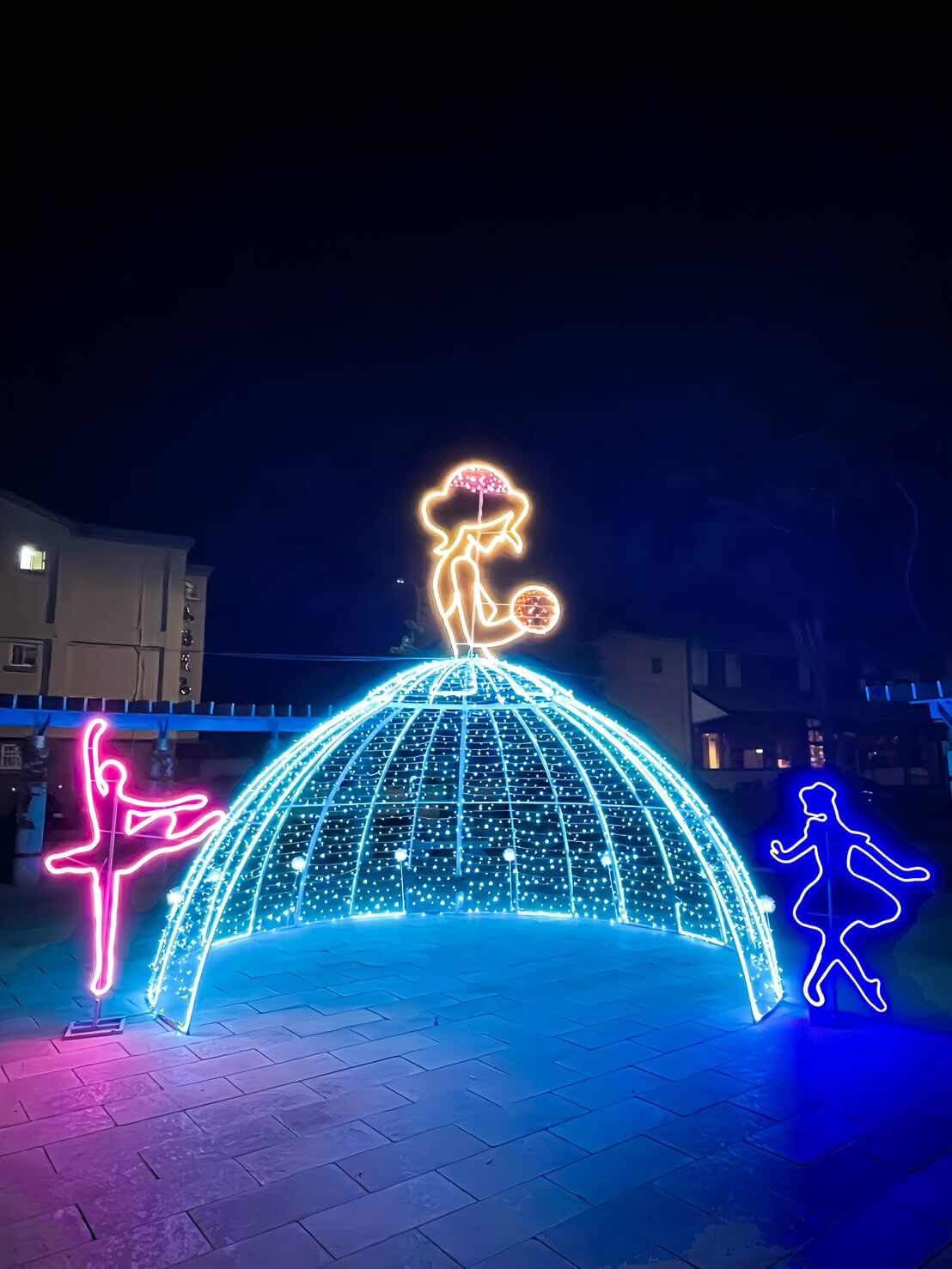 綻放金寧，點亮夜空—114年農曆春節的好去處