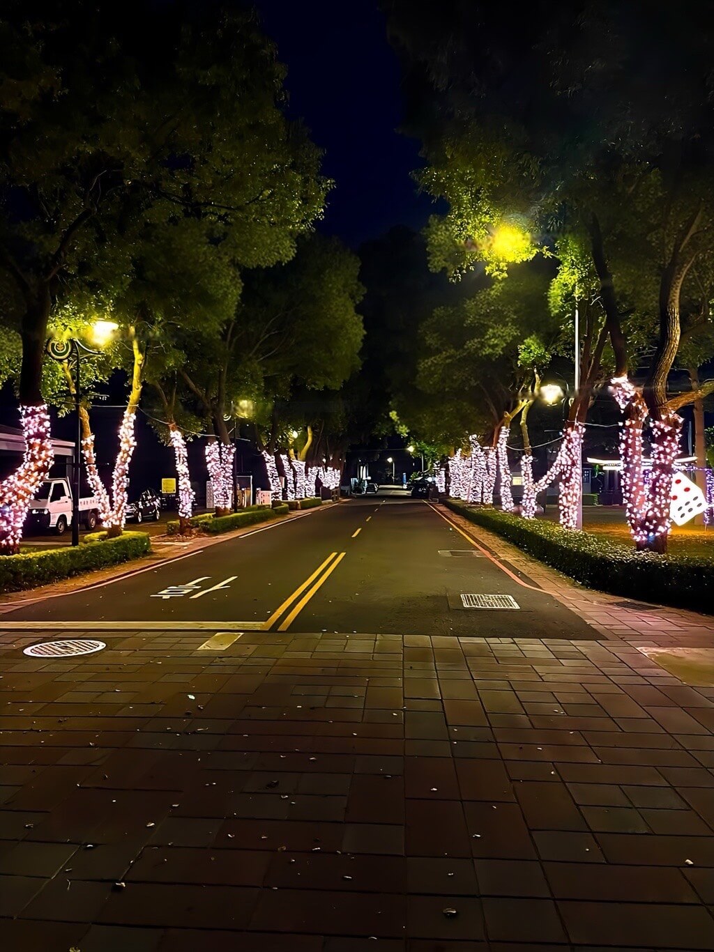 綻放金寧，點亮夜空—114年農曆春節的好去處