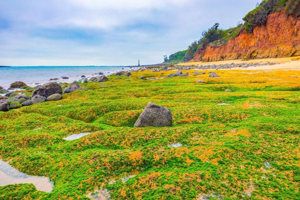 烈嶼走春,踏春好風光!探索最美的春日秘境 烈嶼走春,踏春好風光!探索最美的春日秘境
