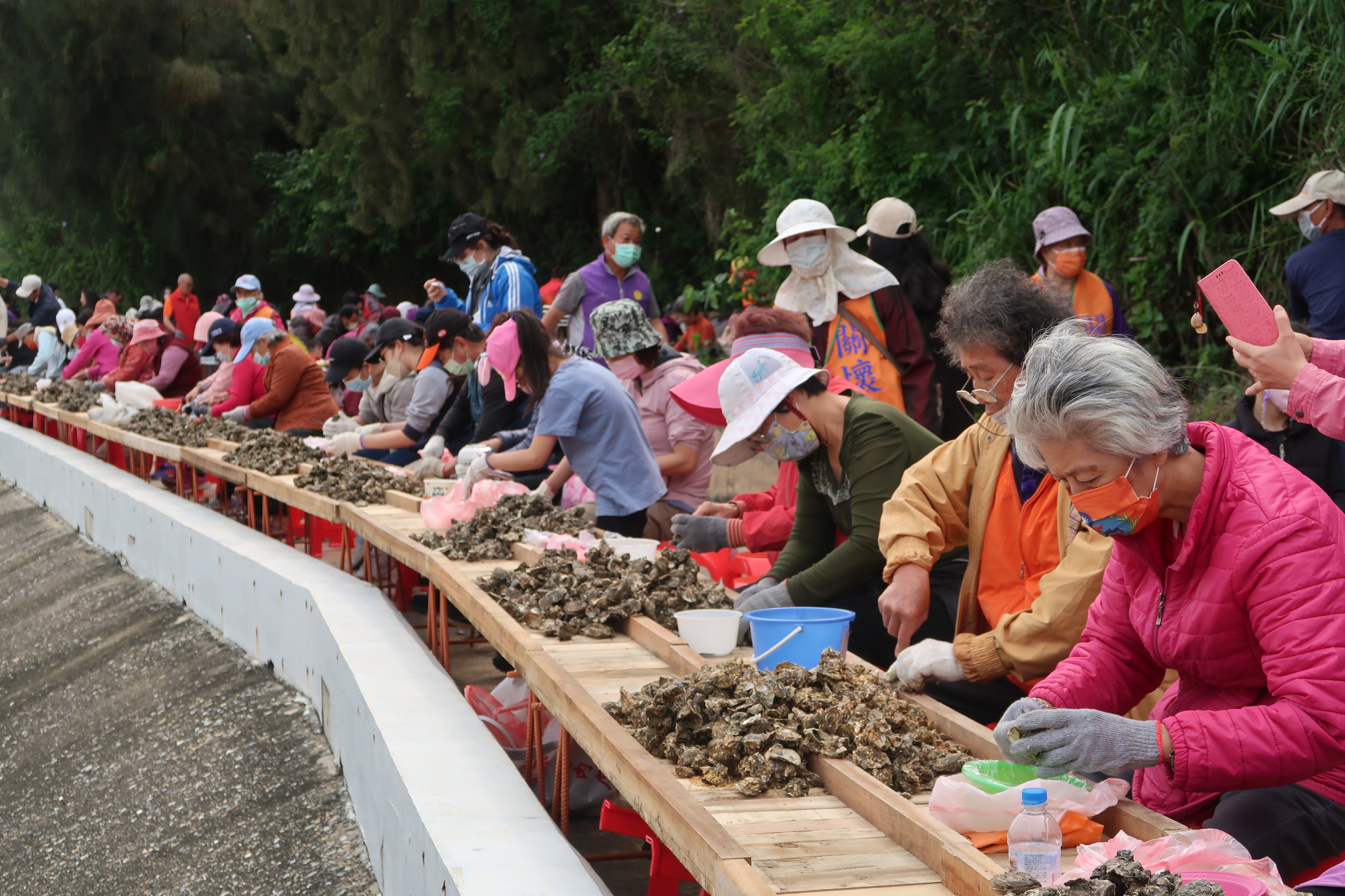 金門限定!石蚵文化季-「超頂!千人剝蚵大挑戰」啓動