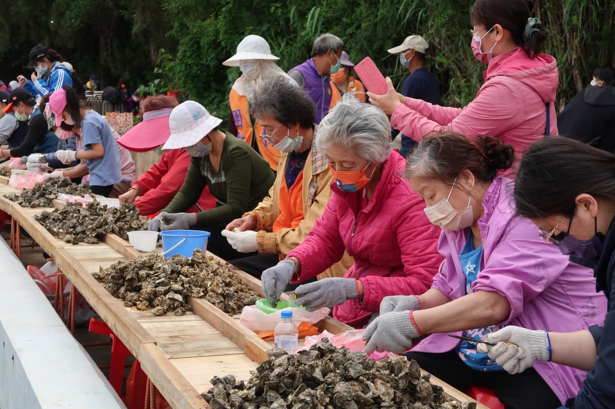 相約金寧蚵樂無窮！2025金門石蚵文化季週末狂熱登場