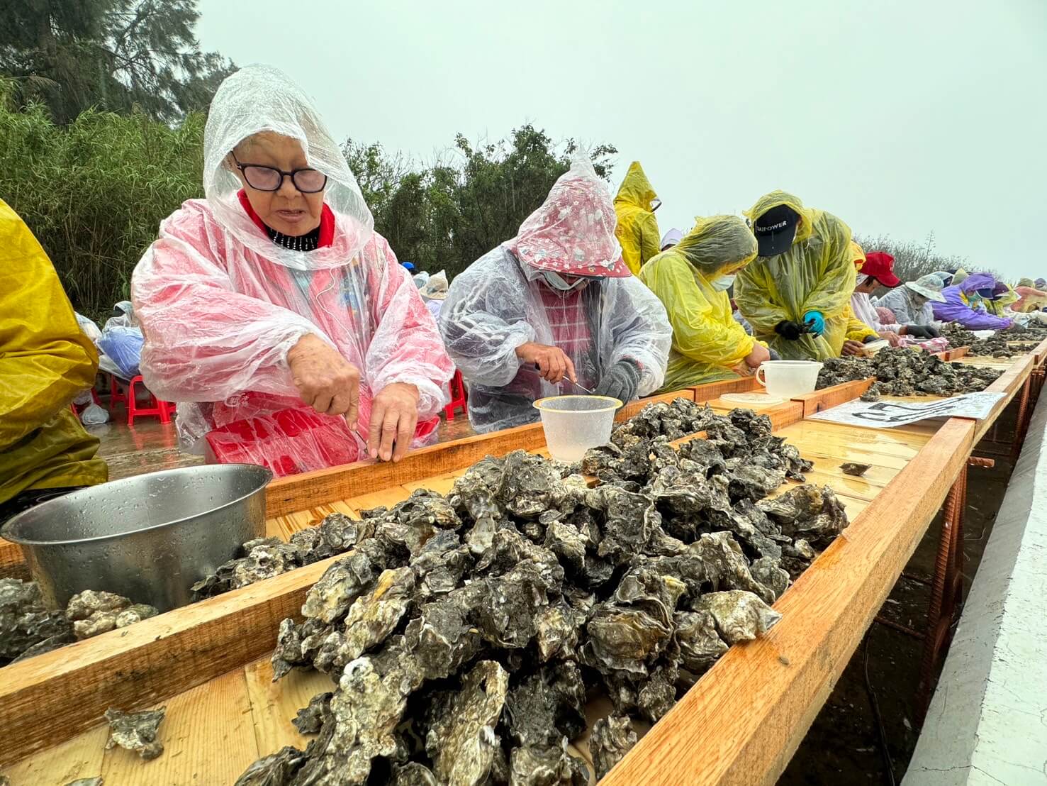 超頂！千人剝蚵大挑戰」  鄉親冒雨熱情參與