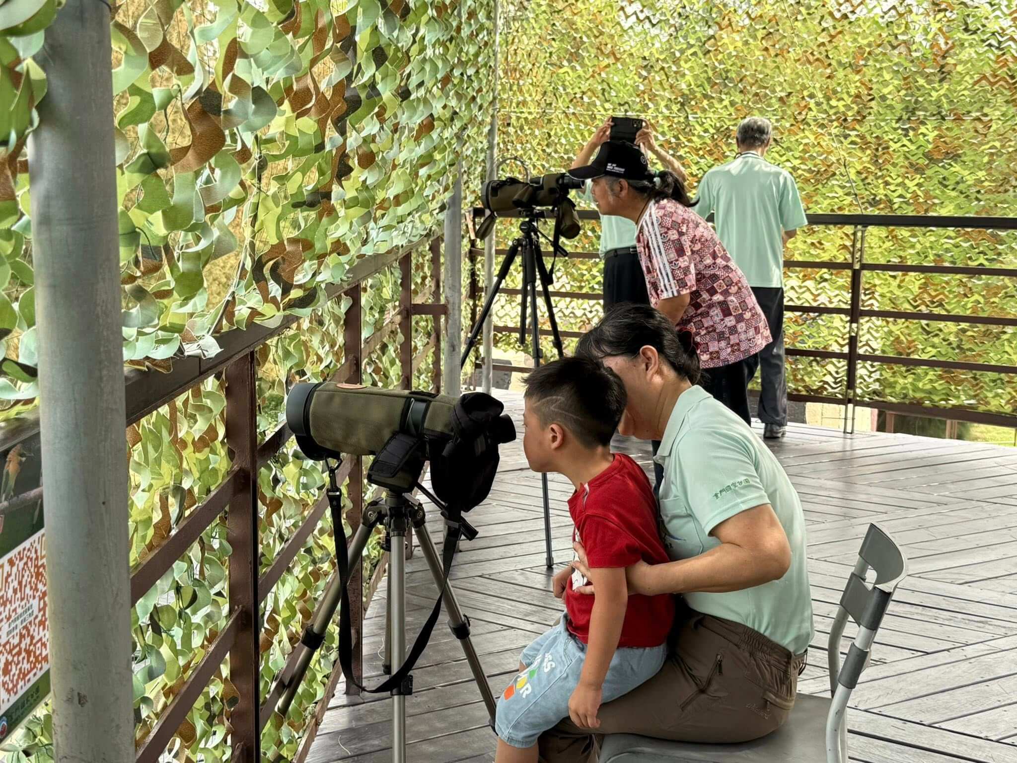 「夏日精靈」栗喉蜂虎造訪金門  金管處提供即時影像 民眾觀看