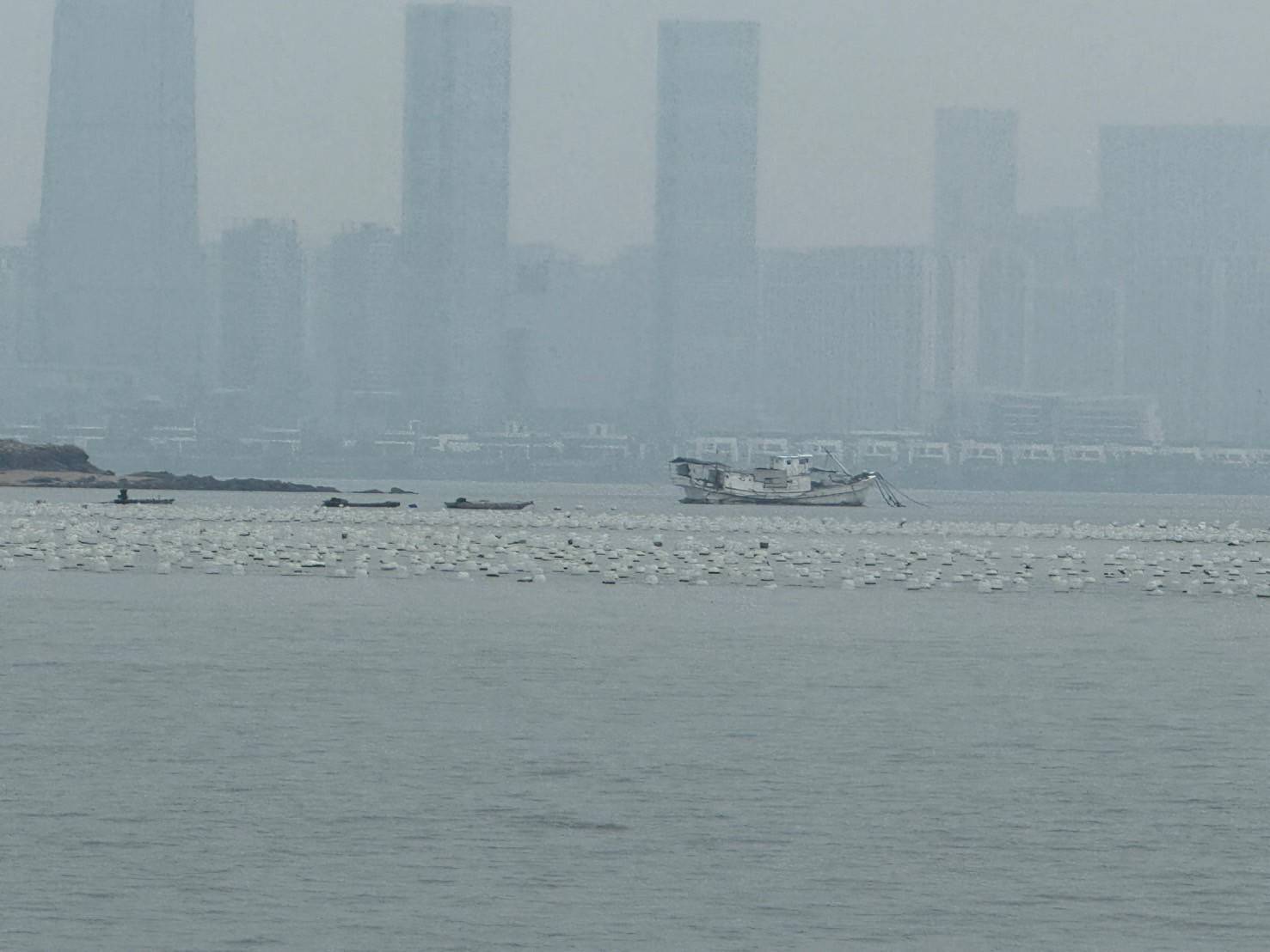 金門非法牡蠣養殖區擴大 海巡單位全程戒護監管