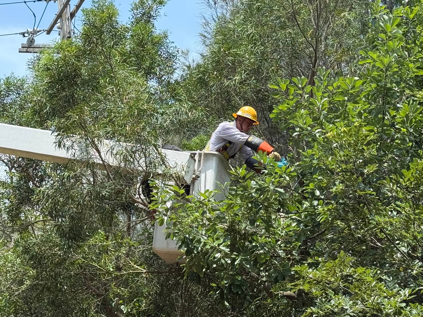 「楊柳」颱風來勢洶洶 金門台電全力戒備防颱