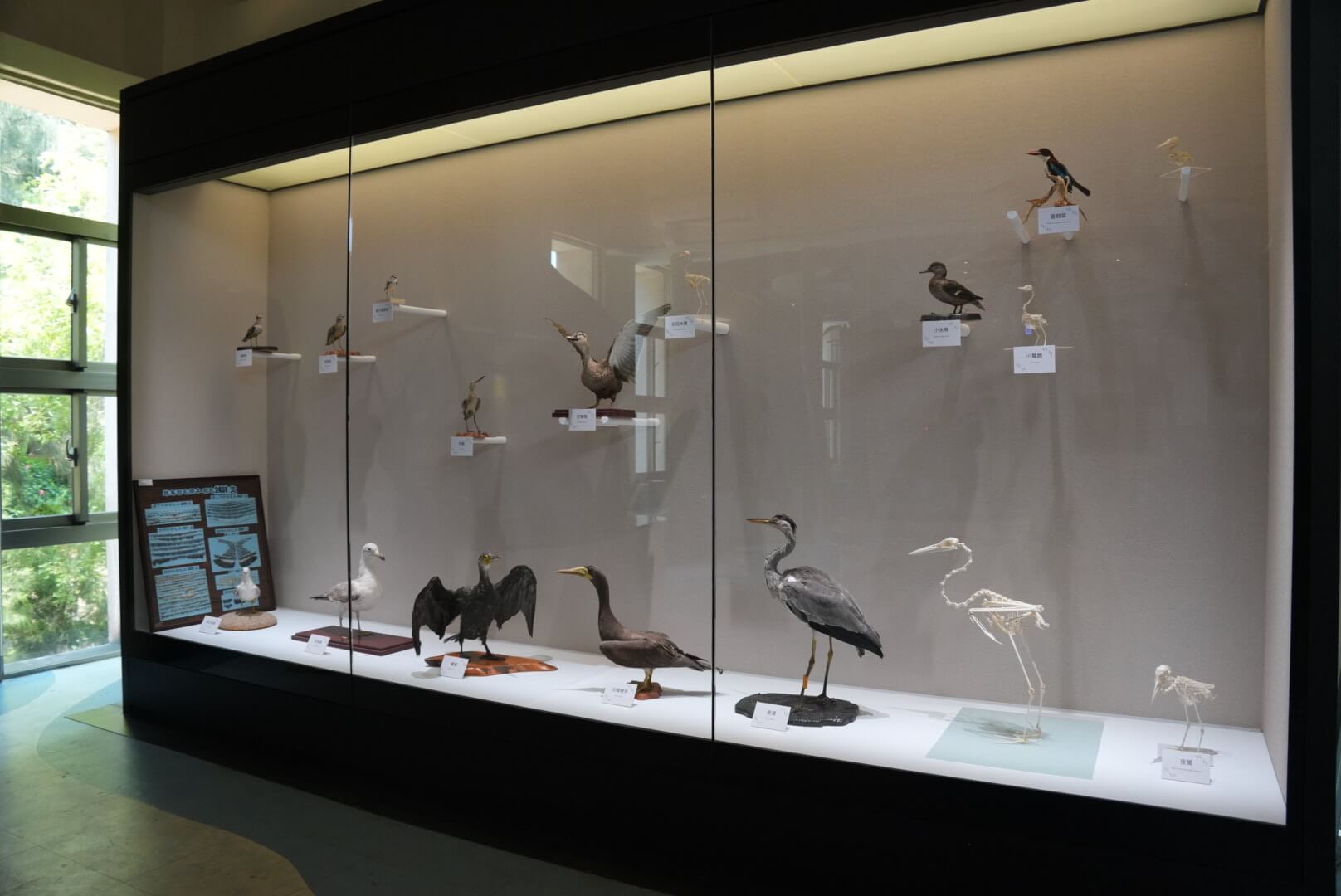 創造親子共讀空間 走進金門乳山遊客中心認識大自然