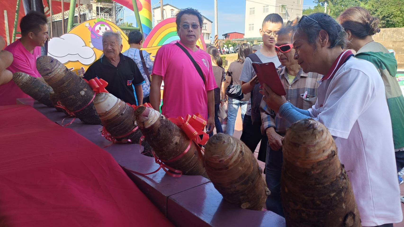 金門烈嶼鄉芋頭季「挖芋體驗活動」開始報名