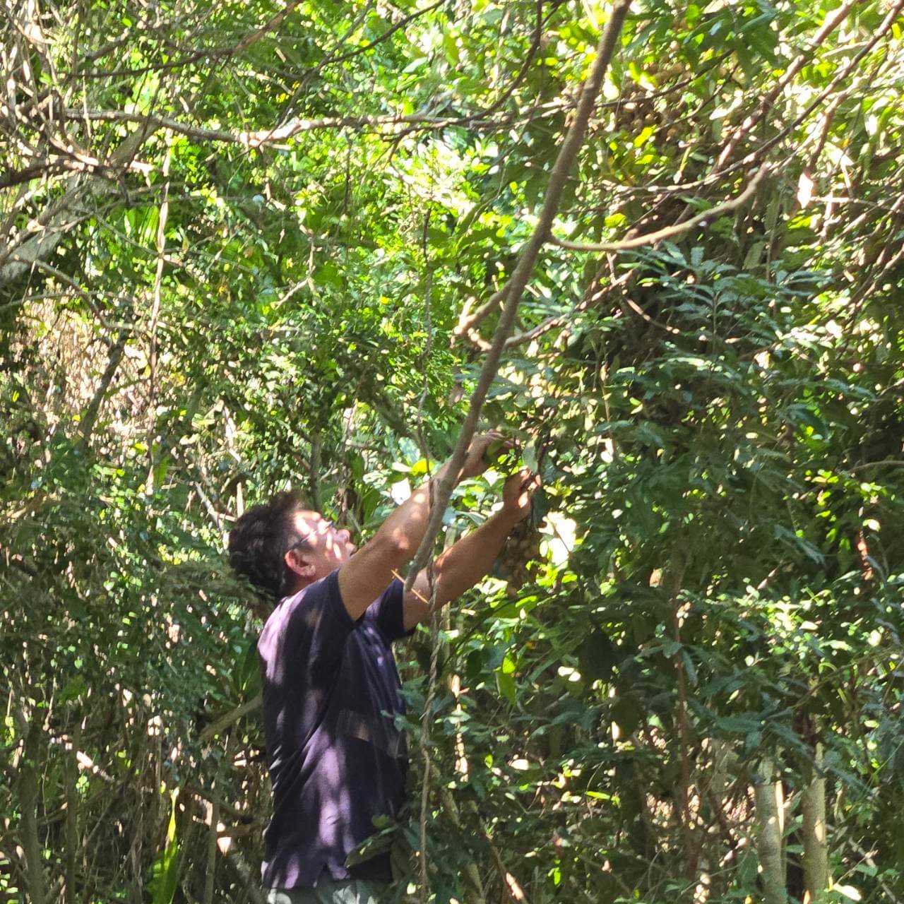 老龍眼樹結愛心果　金門家扶志工齊心採暖心義賣      