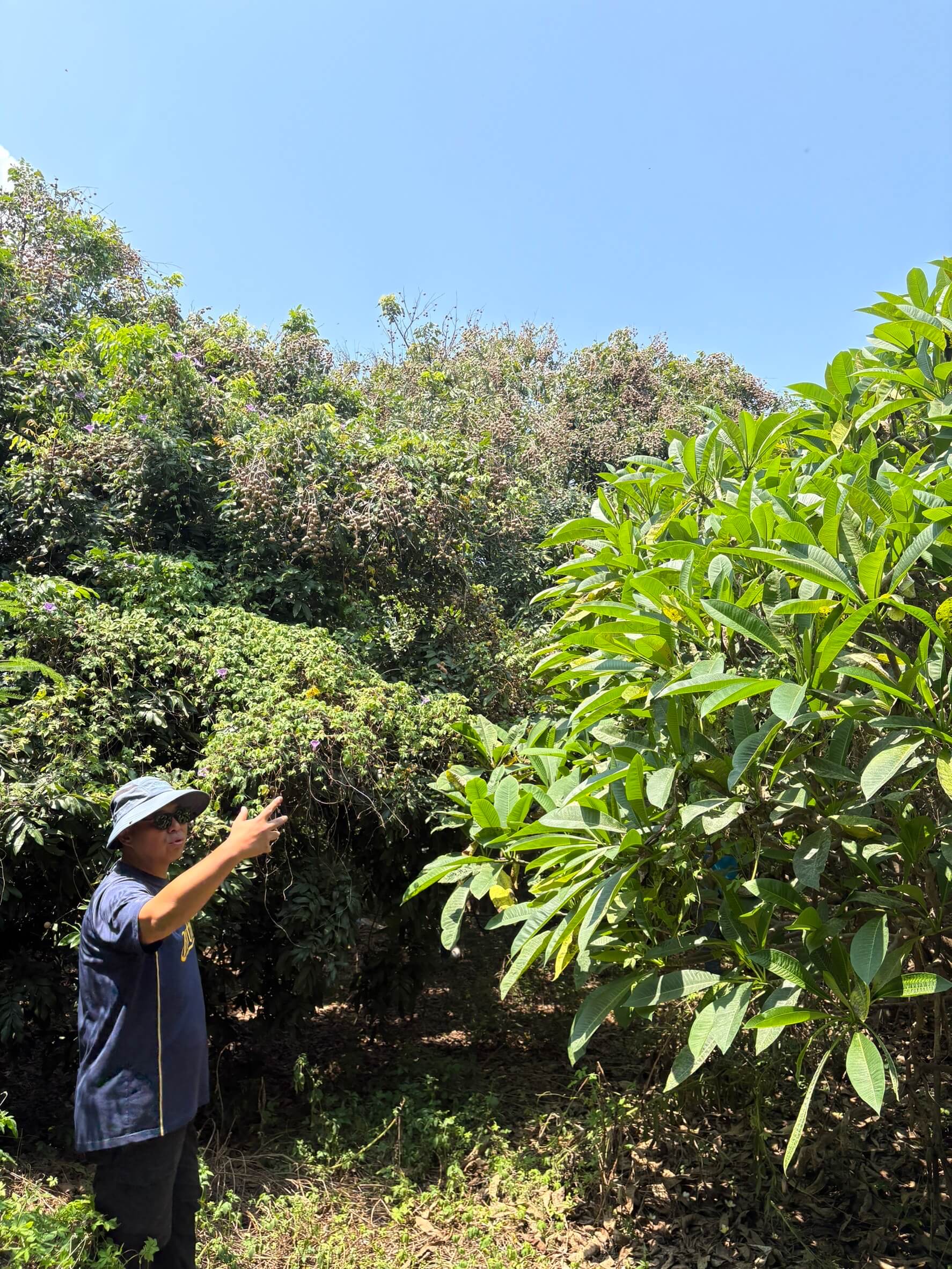 老龍眼樹結愛心果　金門家扶志工齊心採暖心義賣      