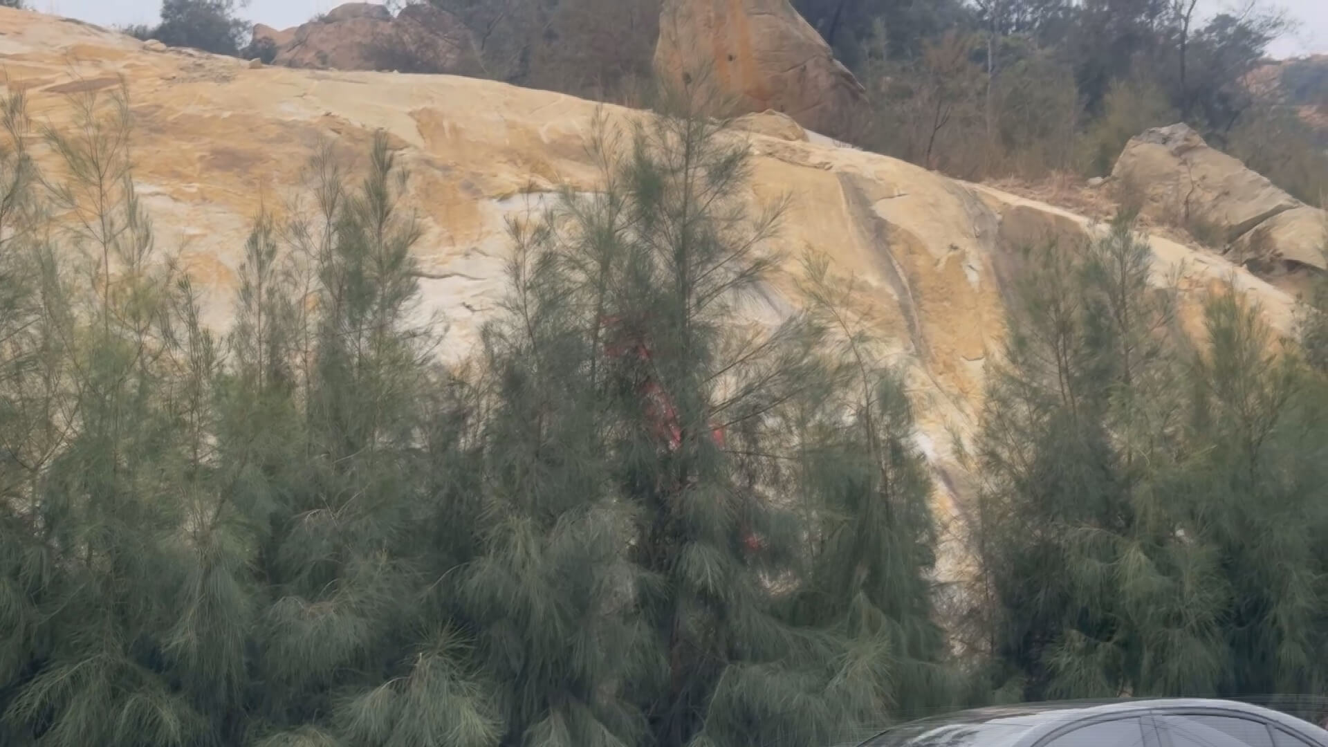 石船頭景觀遭木麻黃遮蔽　遊憩動線與解說欠缺整體規劃