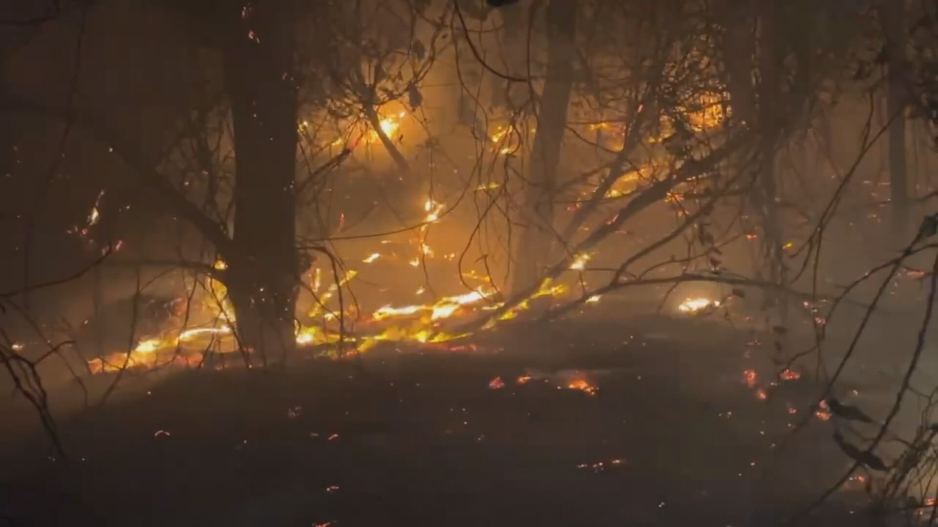天乾物燥田野火警頻傳，金消多點佈署阻隔延燒