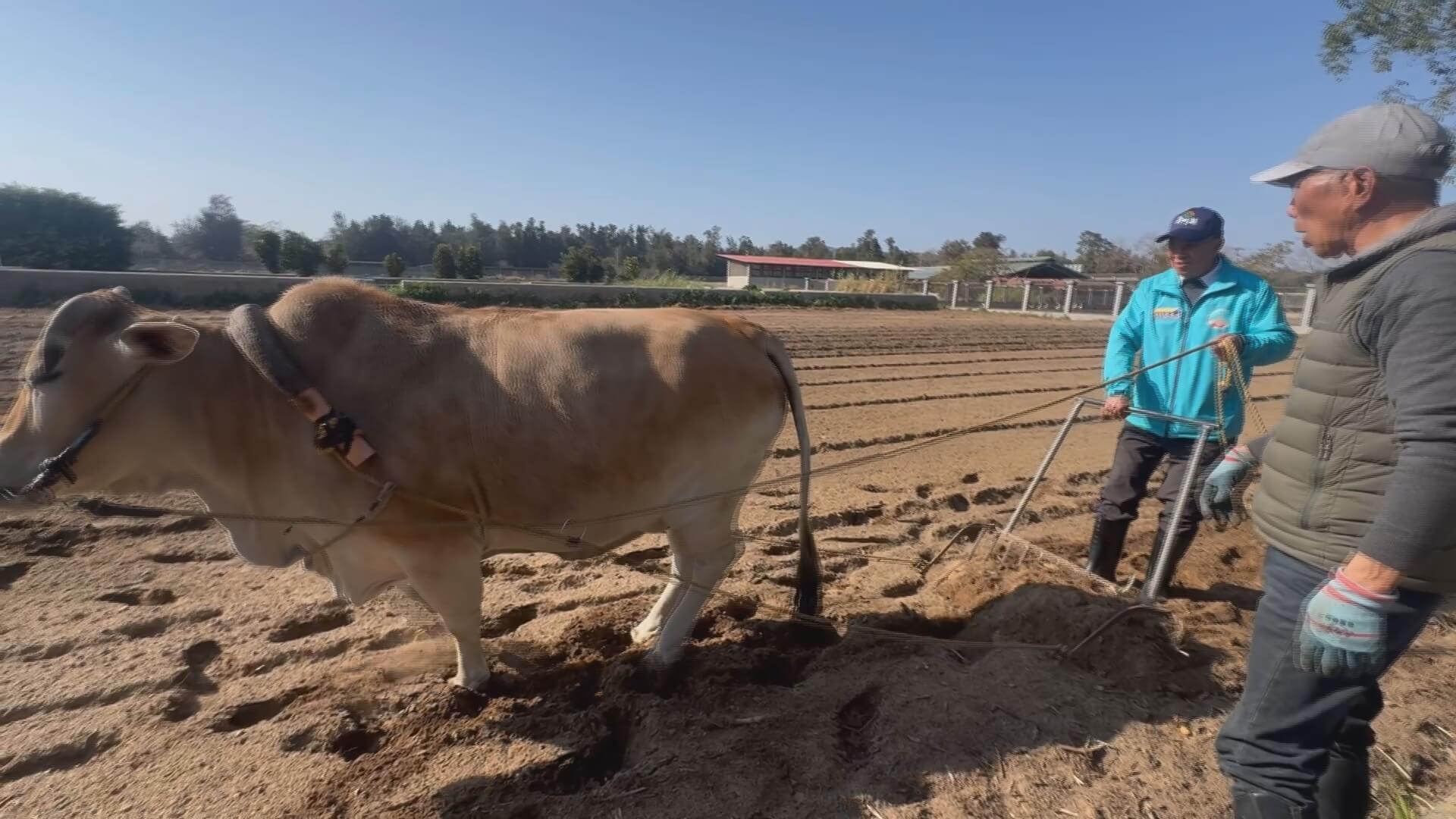 迎新春農業展2月17日登場　金門四所聯手打造年節走春新亮點